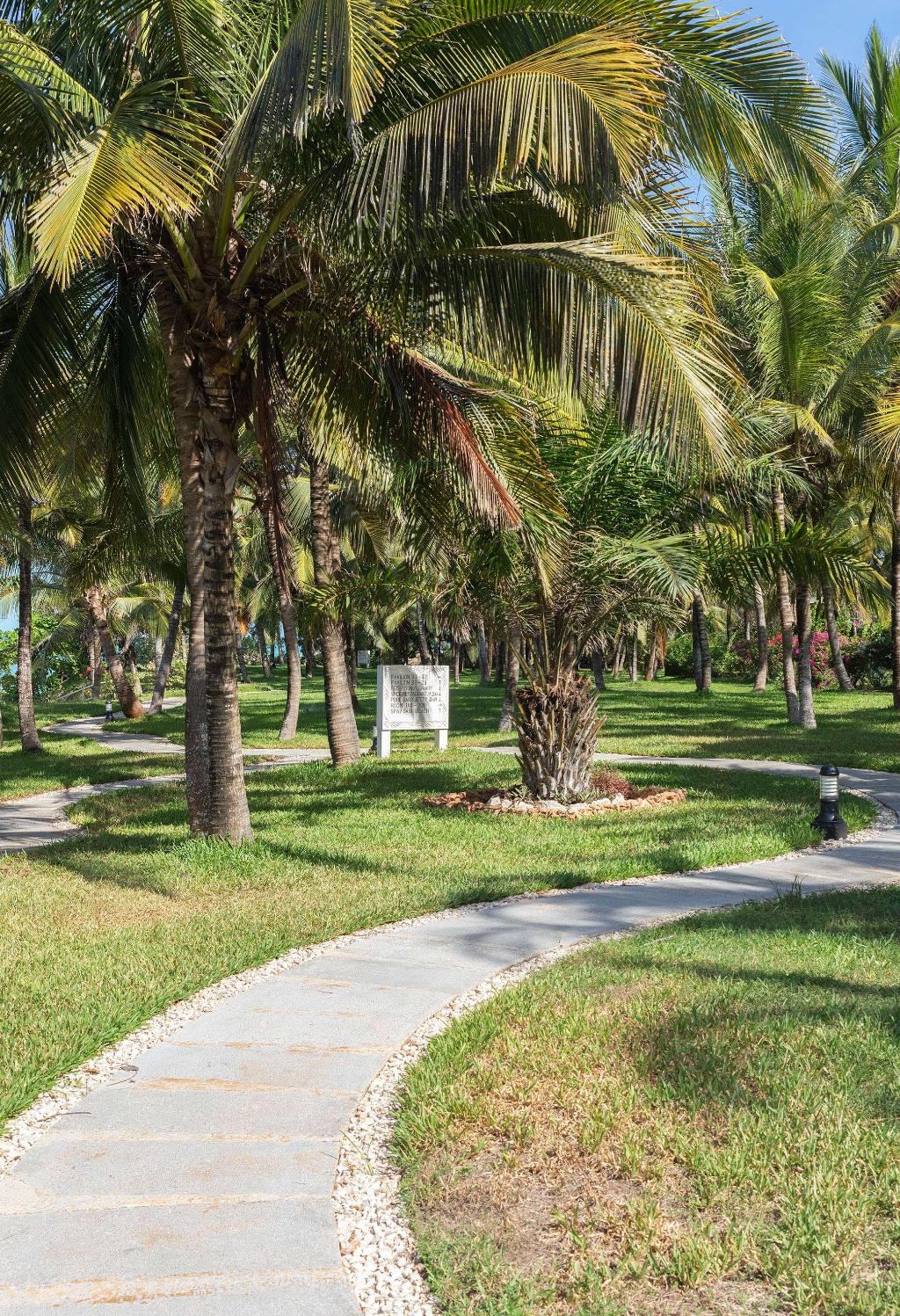 Melia Zanzibar photo 326