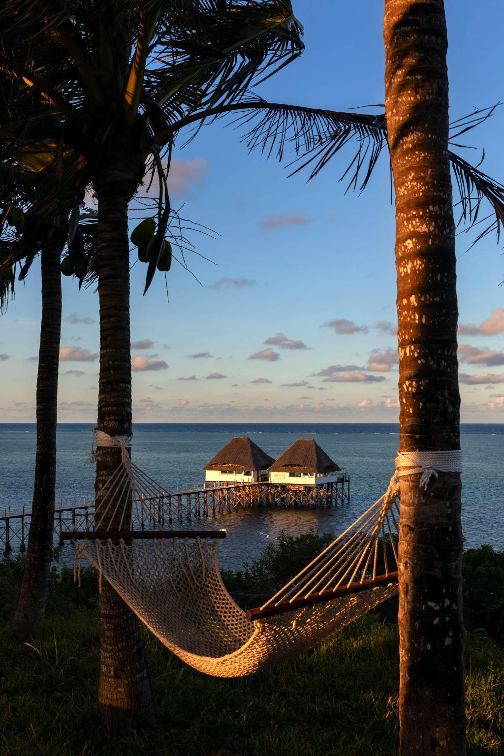 Melia Zanzibar photo 318