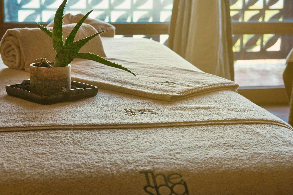 Melia Zanzibar photo 350