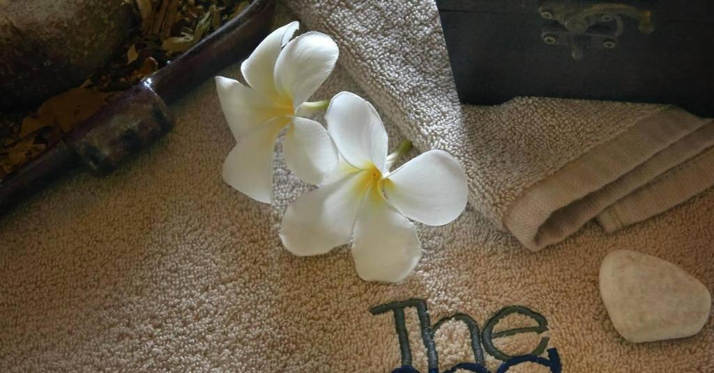 Melia Zanzibar photo 306
