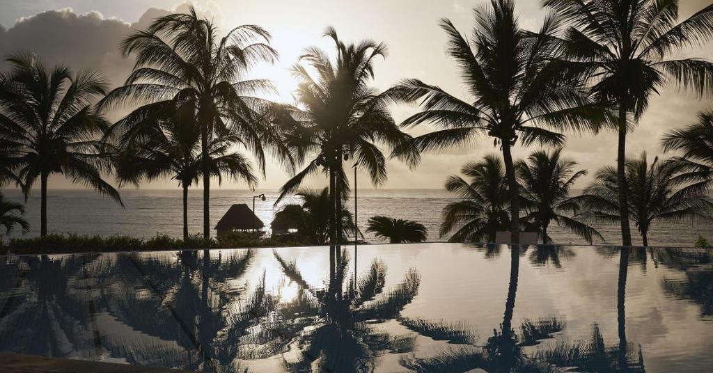 Melia Zanzibar photo 427