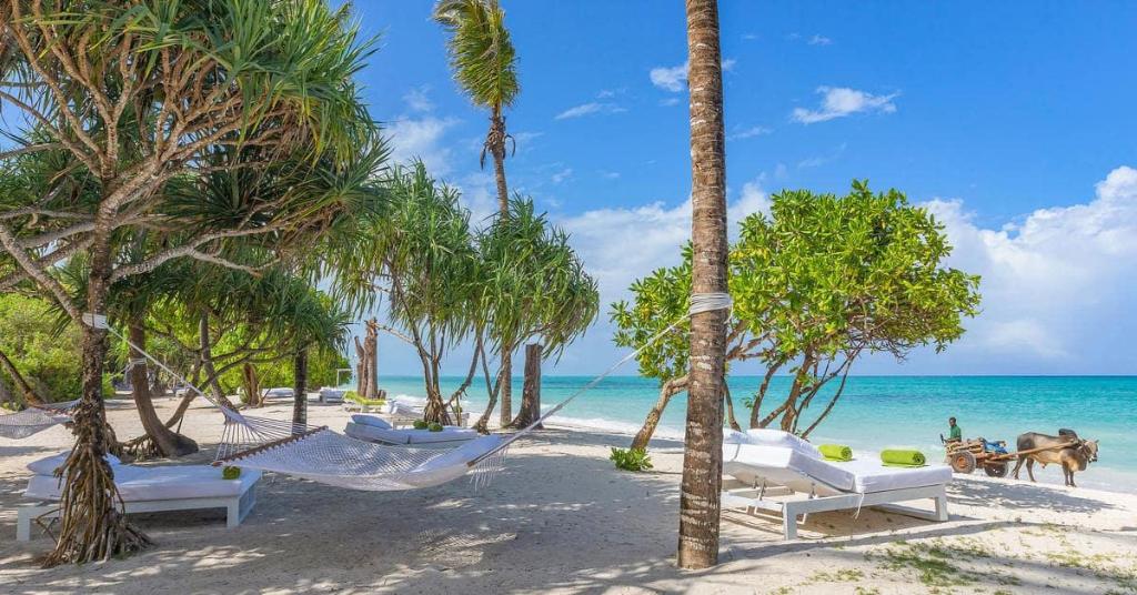 Melia Zanzibar photo 538