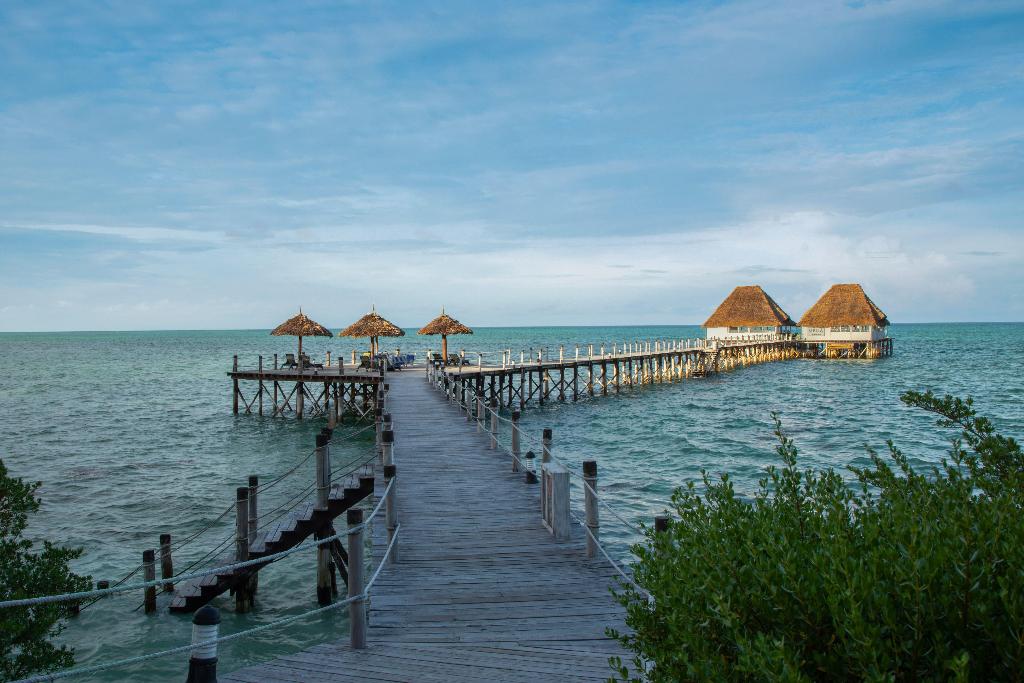 Melia Zanzibar photo 372