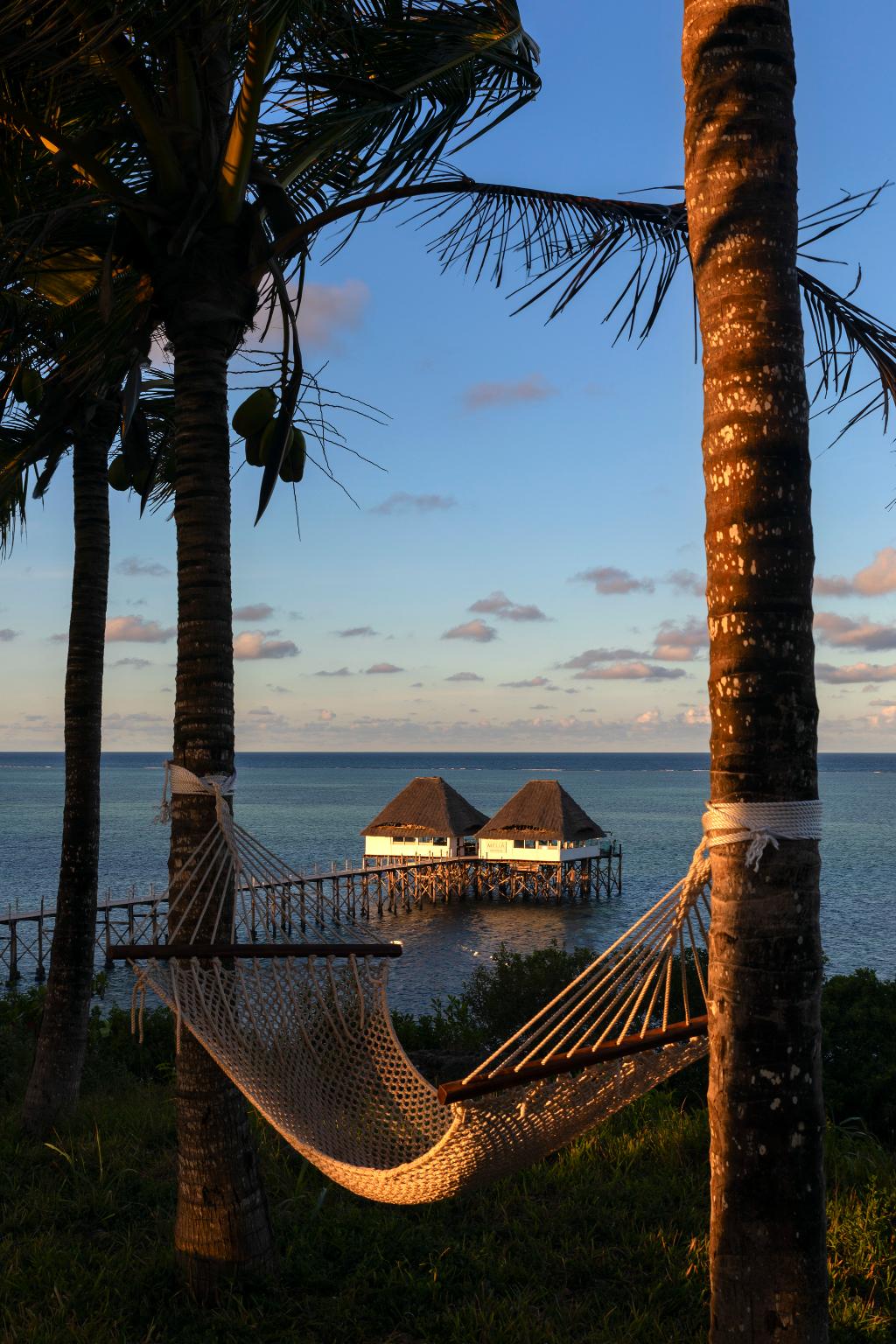 Melia Zanzibar photo 458