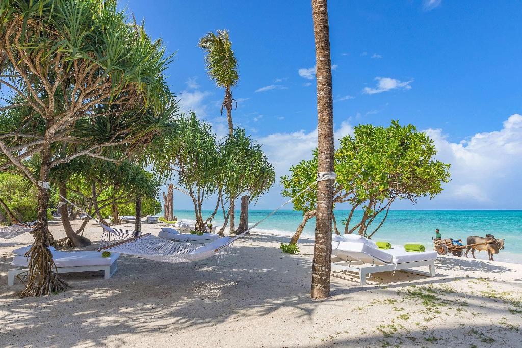Melia Zanzibar photo 464