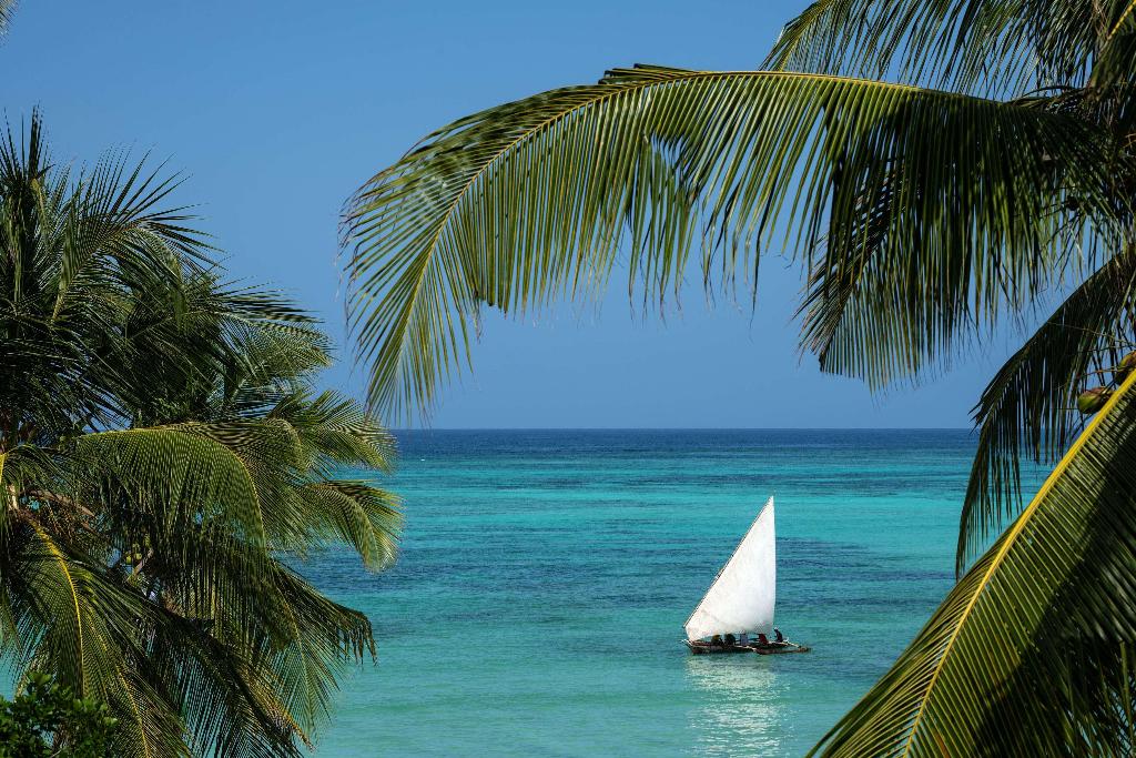 Melia Zanzibar photo 371