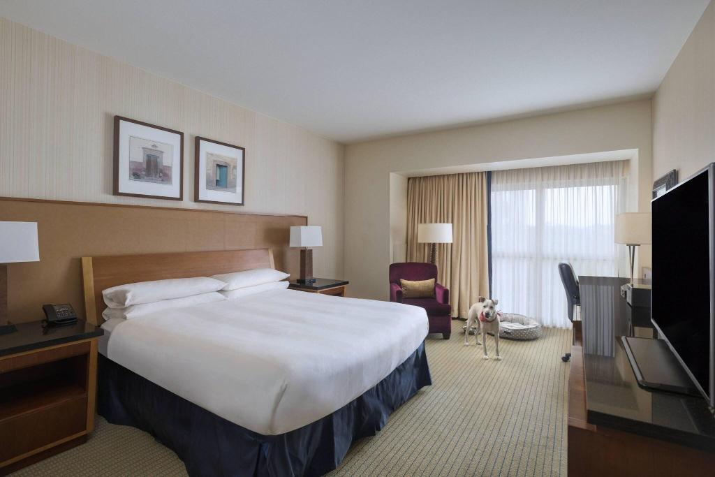 Marriott Dallas/Fort Worth Westlake photo 6