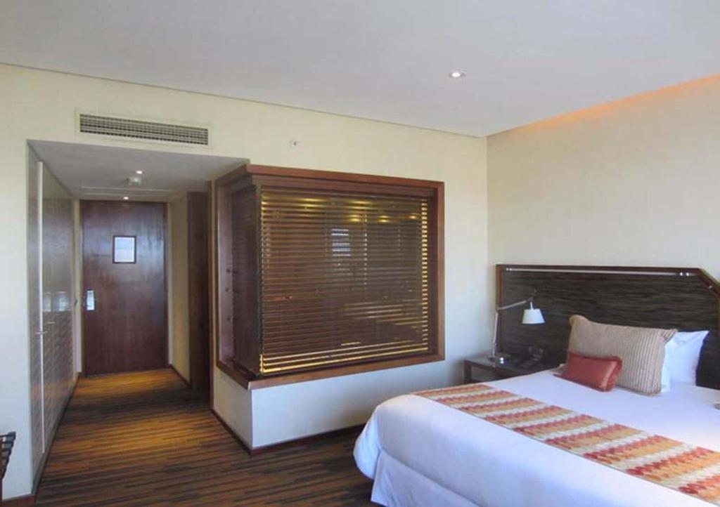 Dreams Araucania