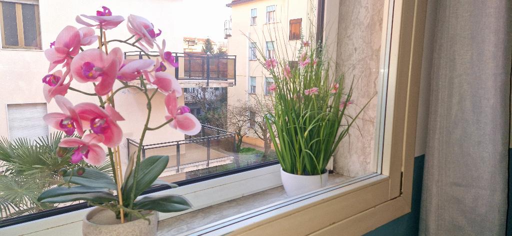 Hotel Hotel Tito, Italien, Venedig. Großes 1