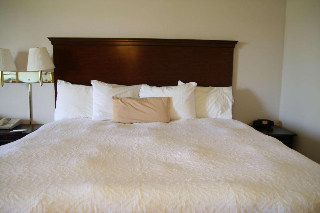 Hampton Inn Selinsgrove/Shamokin Dam