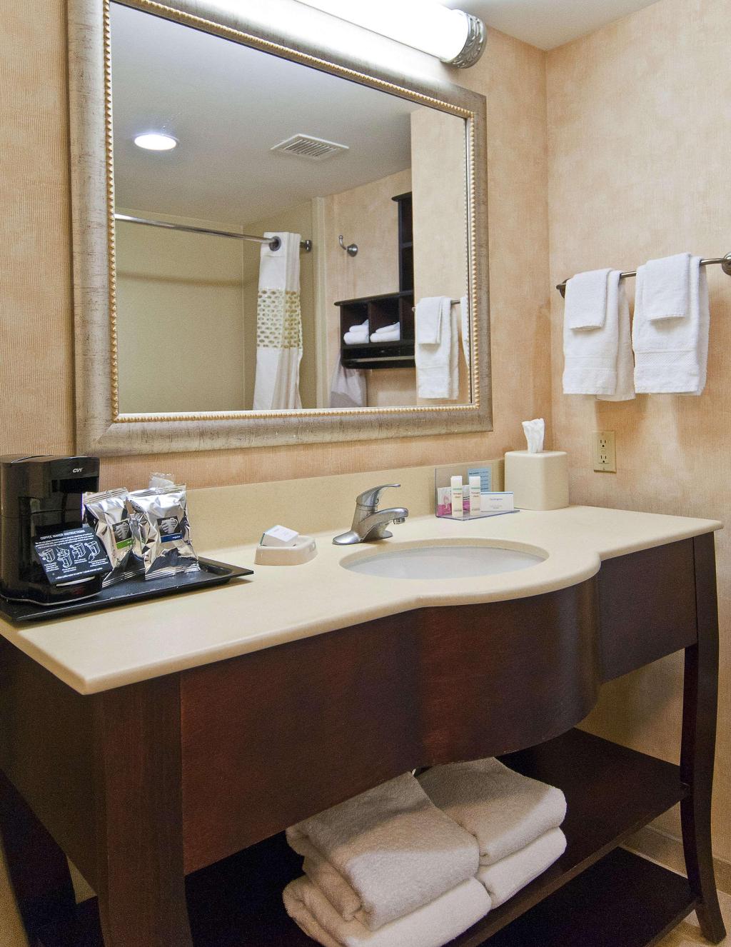Hampton Inn Livingston