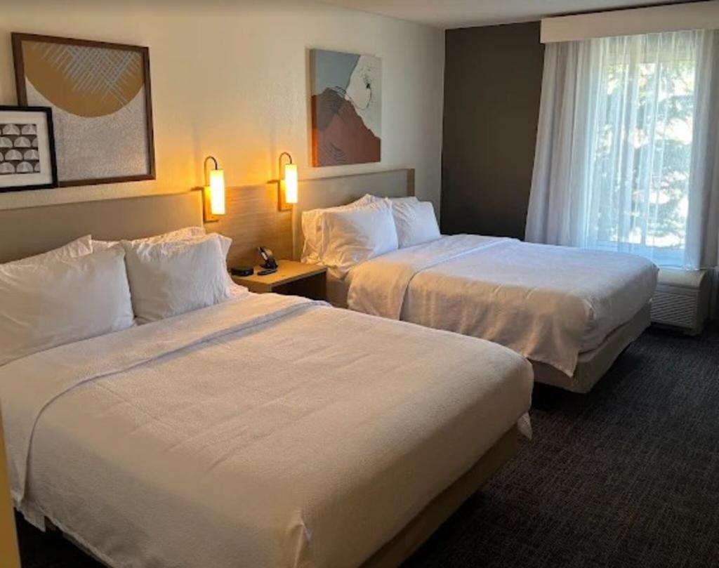 Spark by Hilton Cedar City
