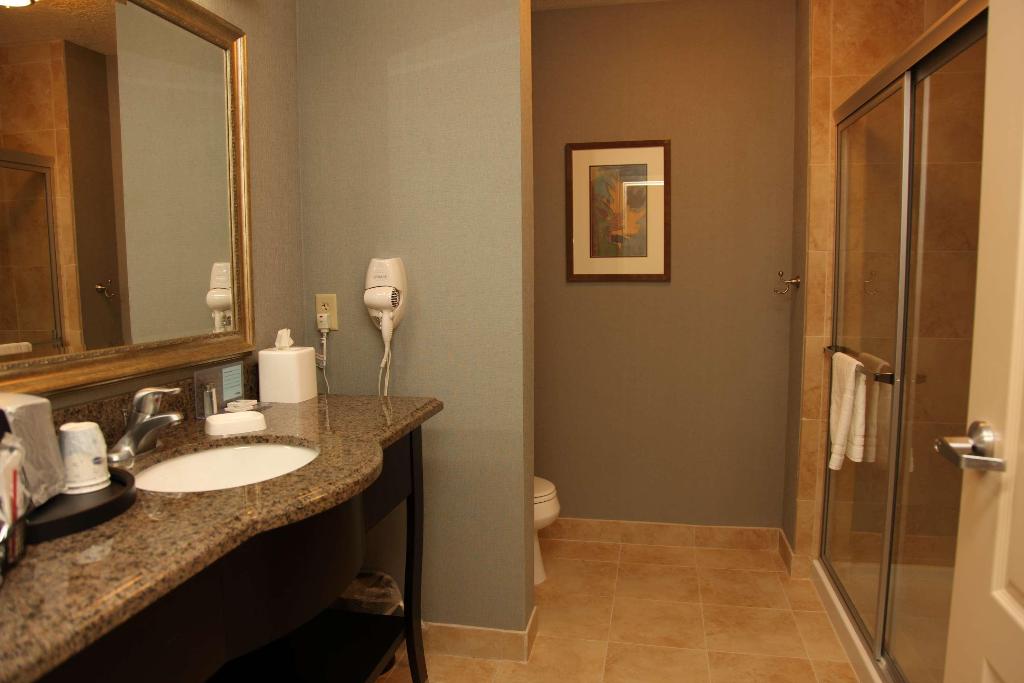 Hampton Inn & Suites By Hilton Carlsbad