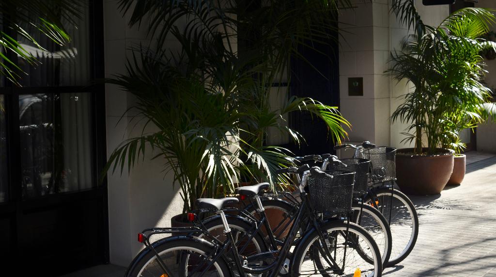 Hotel Ofelias Hotel, Spanien, Barcelona. Großes 27