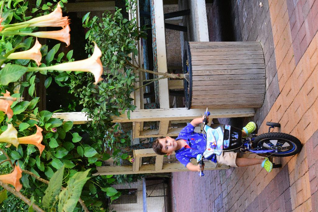 Hotel Atak Apart Hotel, Türkei, Alanya. Großes 2