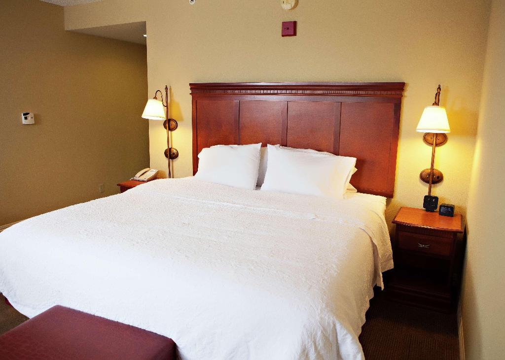 Hampton Inn Martin