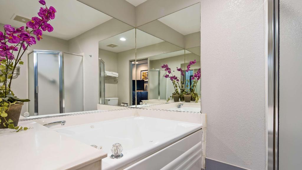 Best Western Carlton Suites