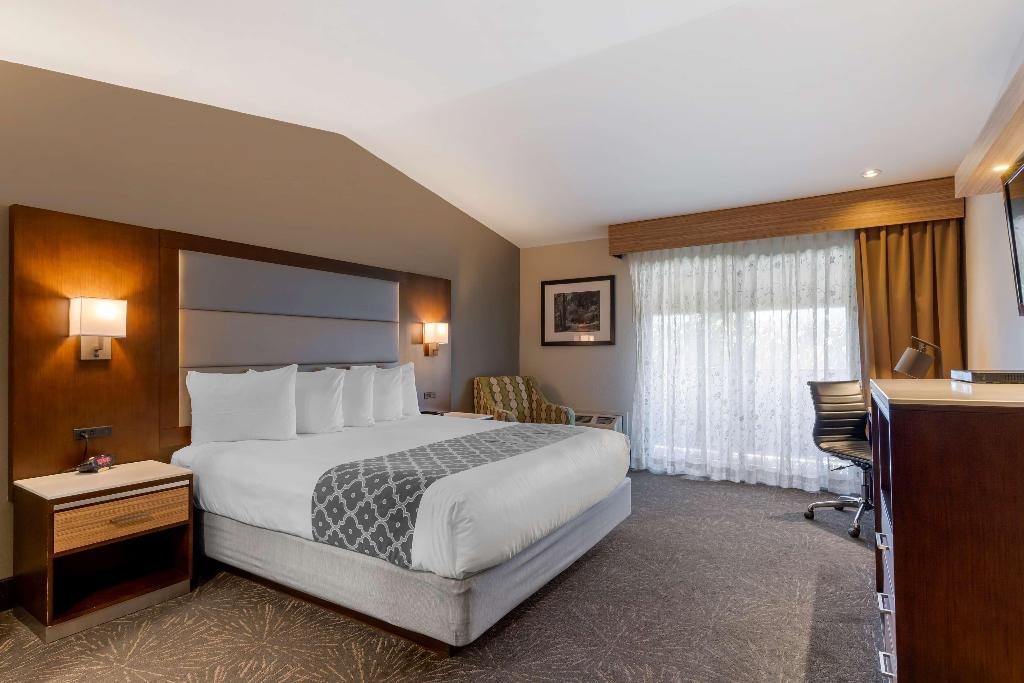 Best Western Plus Forest Park Inn