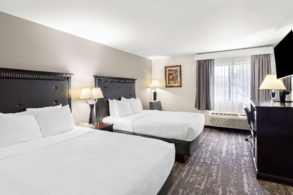 Best Western Saluki Inn