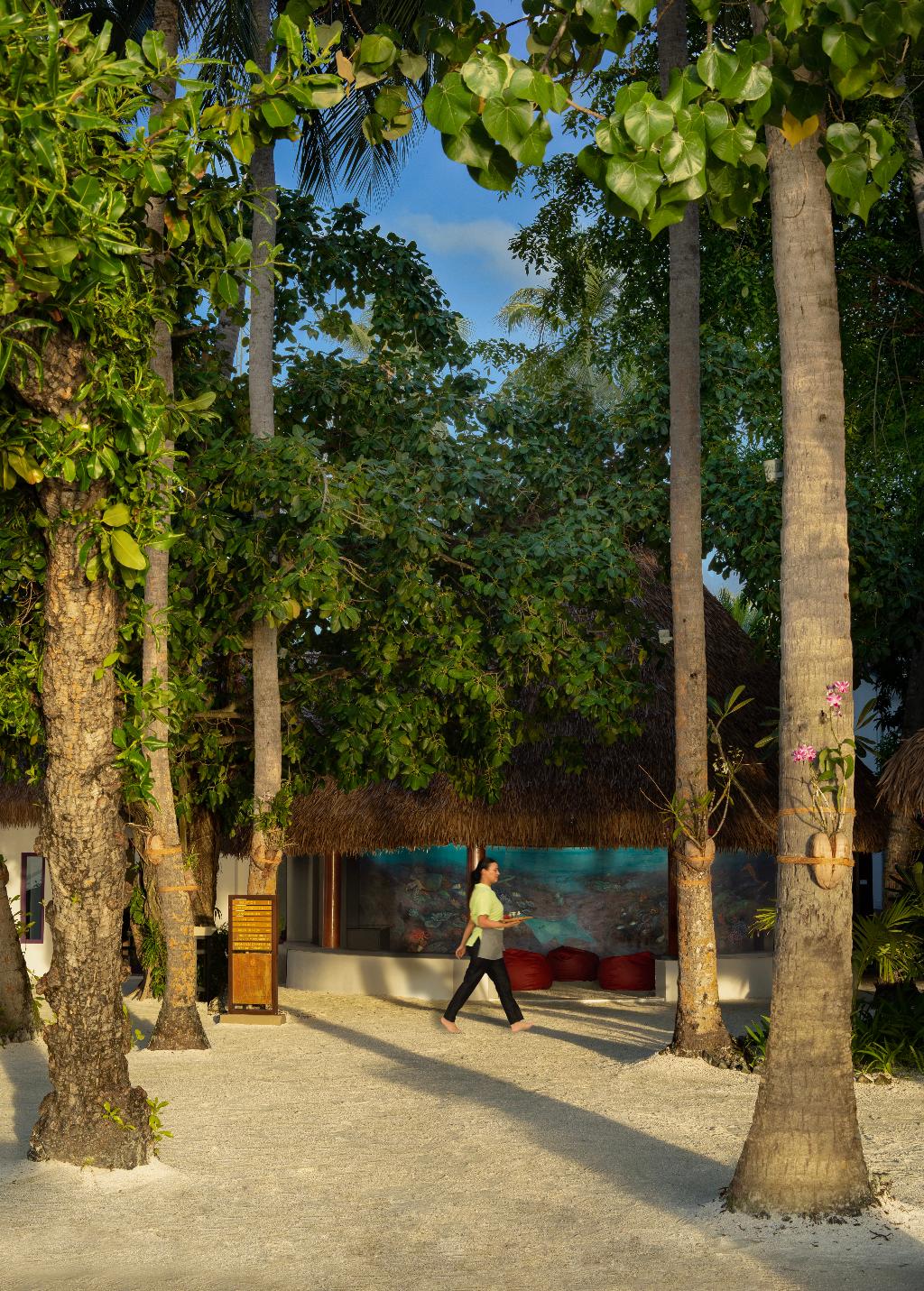 Hotel Dhawa Ihuru, Malediven, Ihuru Island. Großes 1