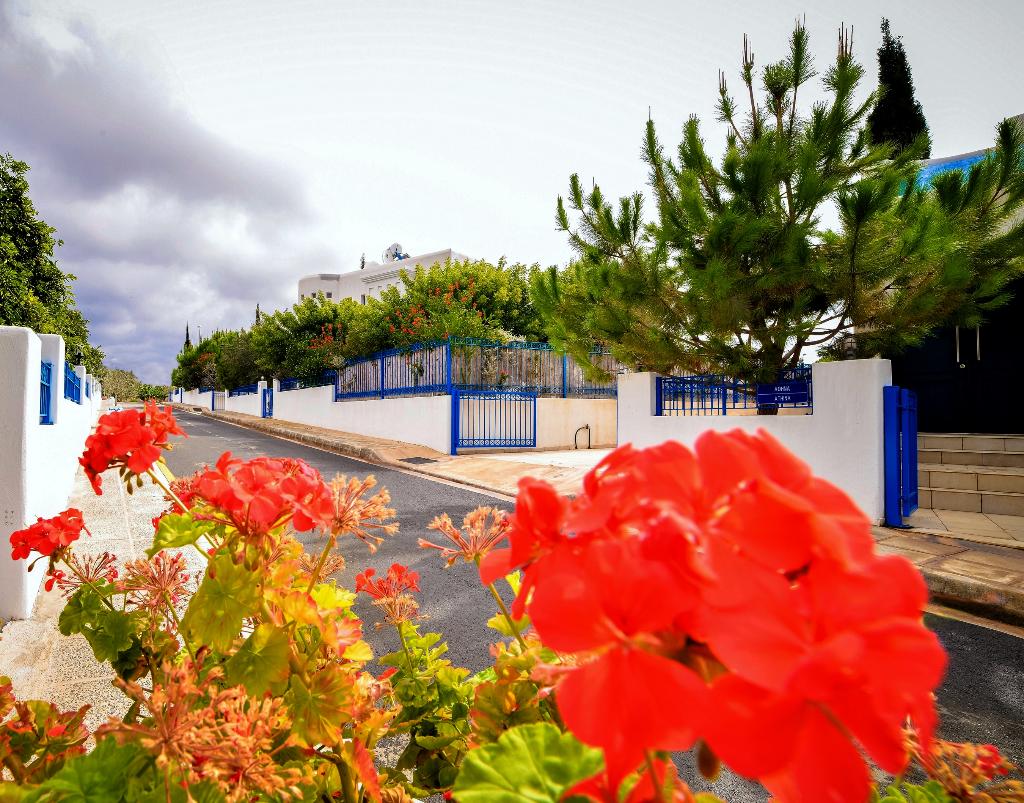 Azzurro Luxury Holiday Villas