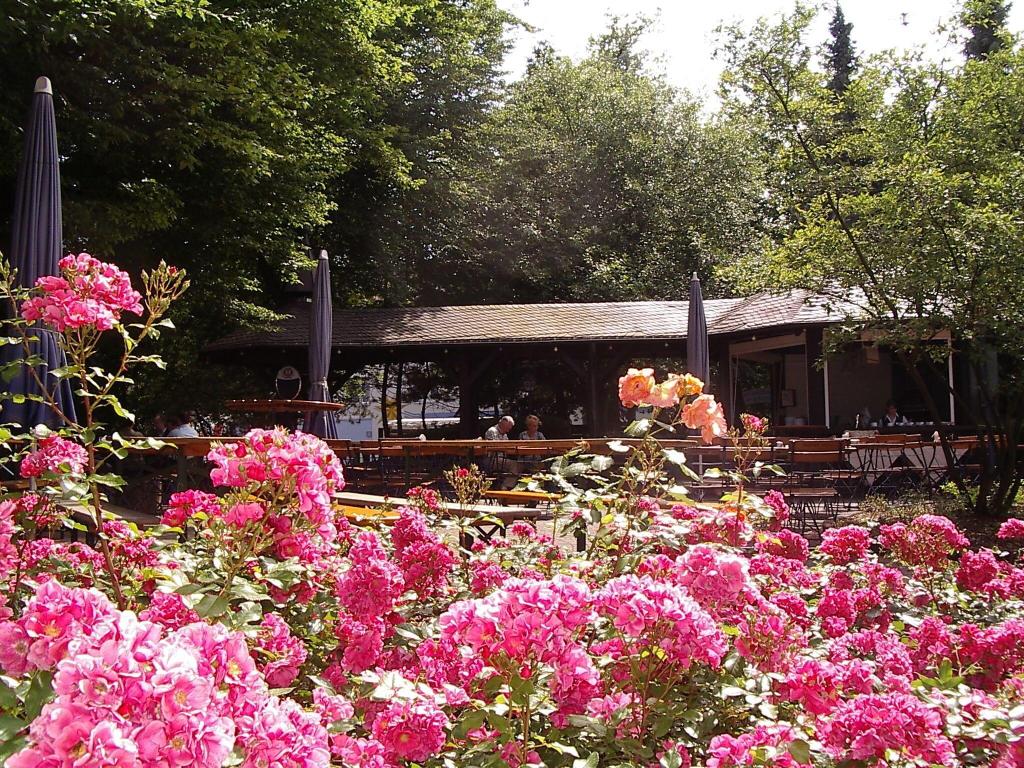 Eifelstern Hotel