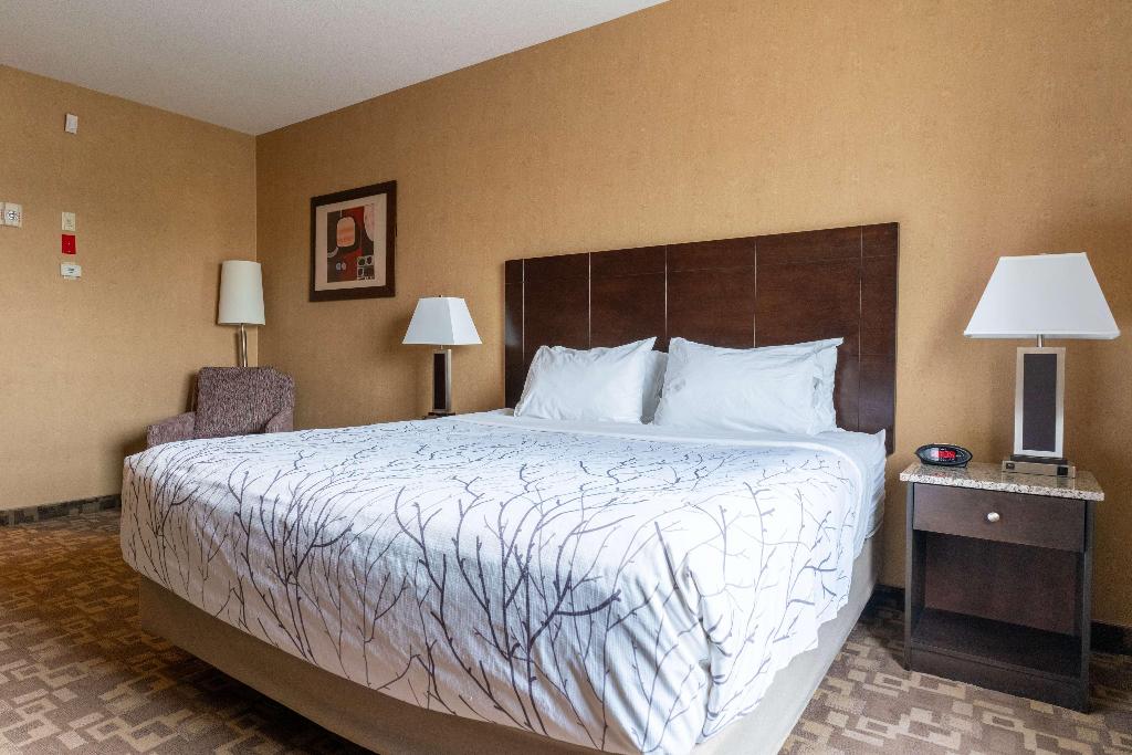 Best Western Plus South Edmonton Inn & Suites
