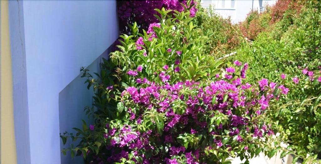 Mare Dei Suites Hotel