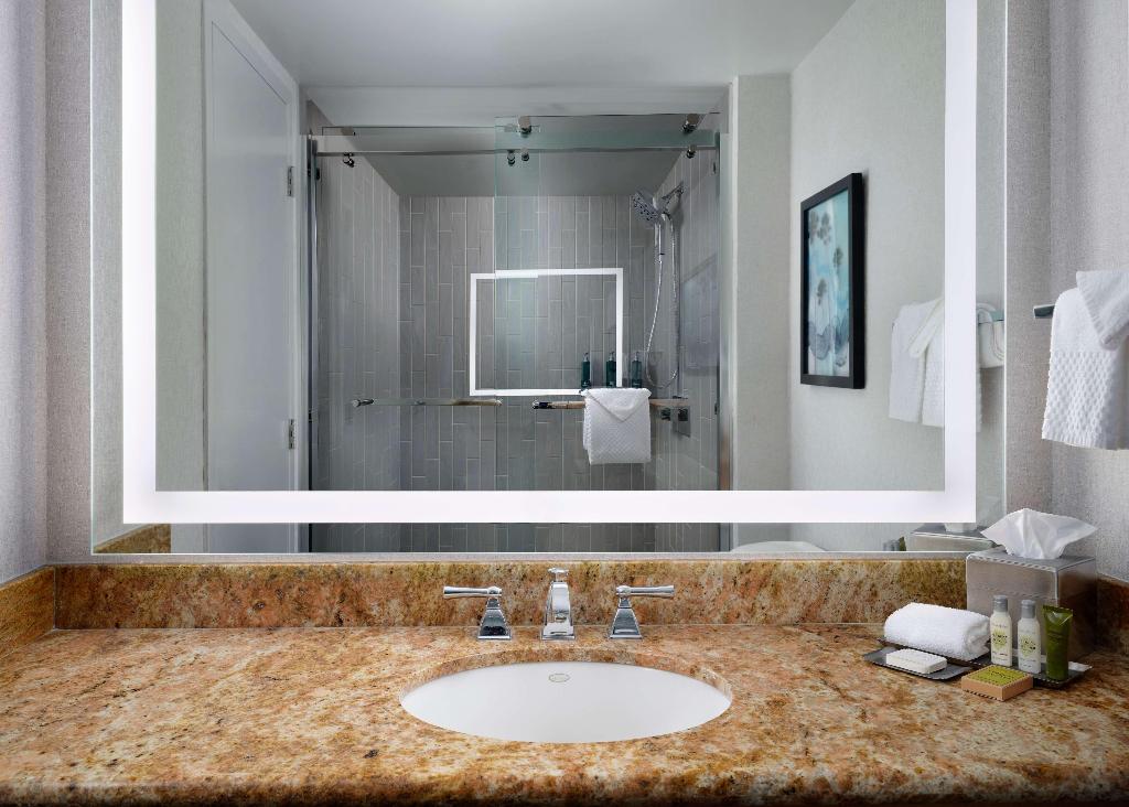 Hotel Hotel Fera Anaheim, a DoubleTree by Hilto, USA, Orange. Großes 71