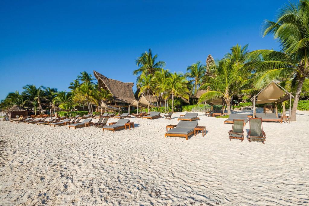 Ahau Tulum photo 61