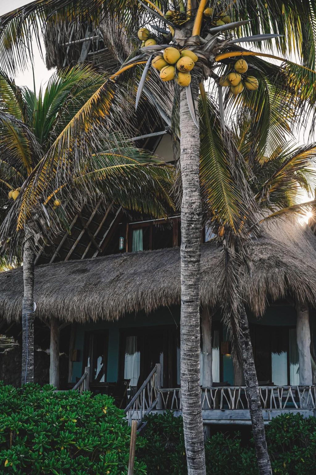 Ahau Tulum photo 74