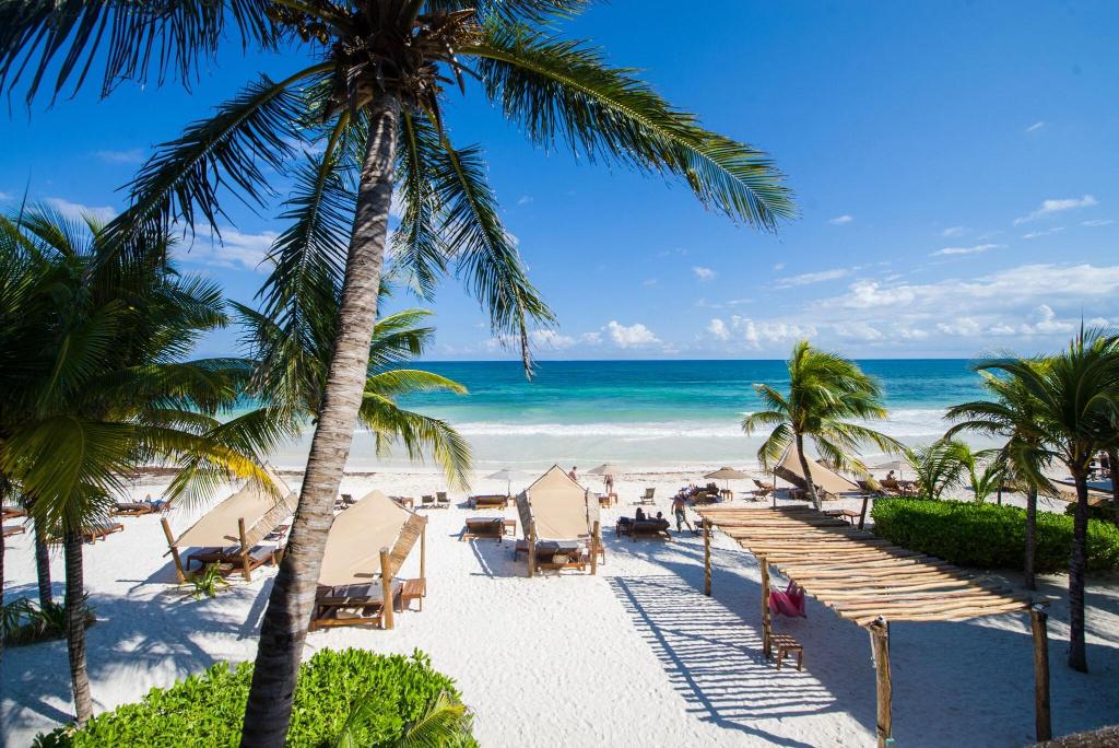 Ahau Tulum photo 45