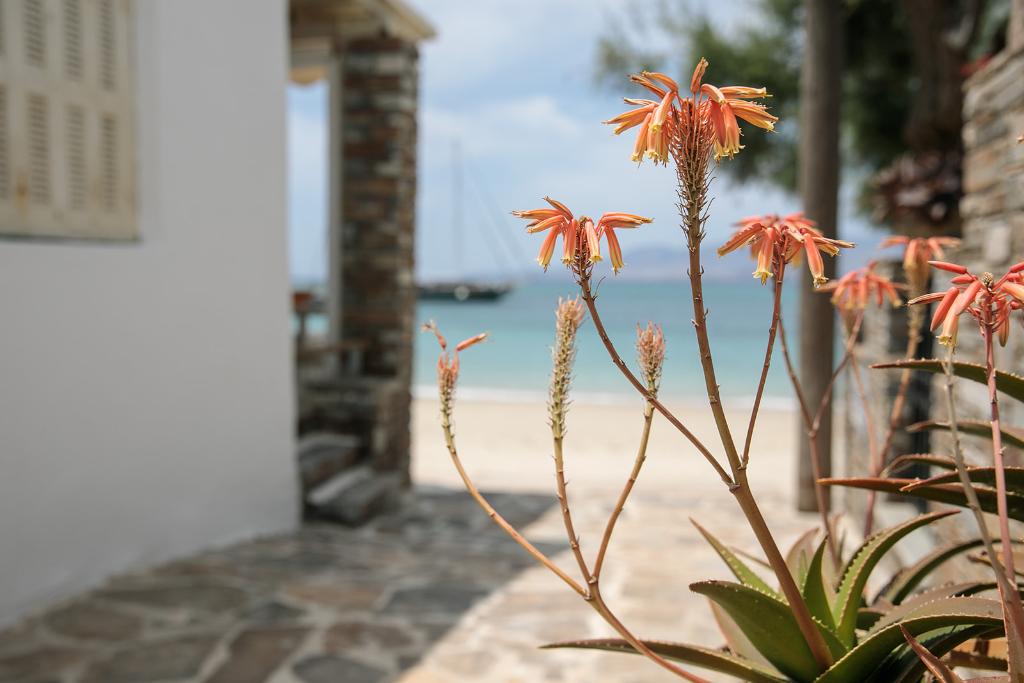 Hotel Iria Beach Art Hotel, Griechenland, Agia Anna. Großes 80