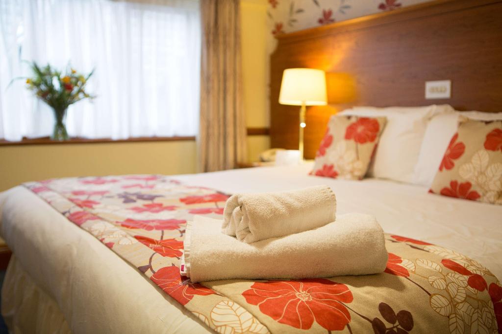 1 King Bed Non-Smoking Superior Room