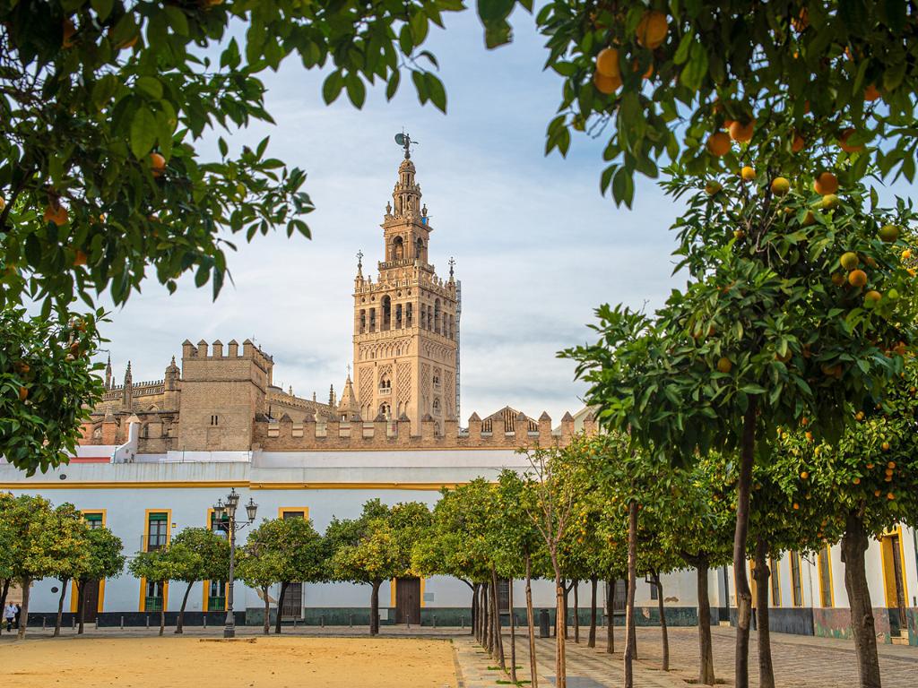 Pierre & Vacances Sevilla photo 9