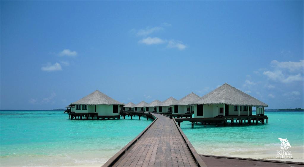 Kihaa Maldives photo 192