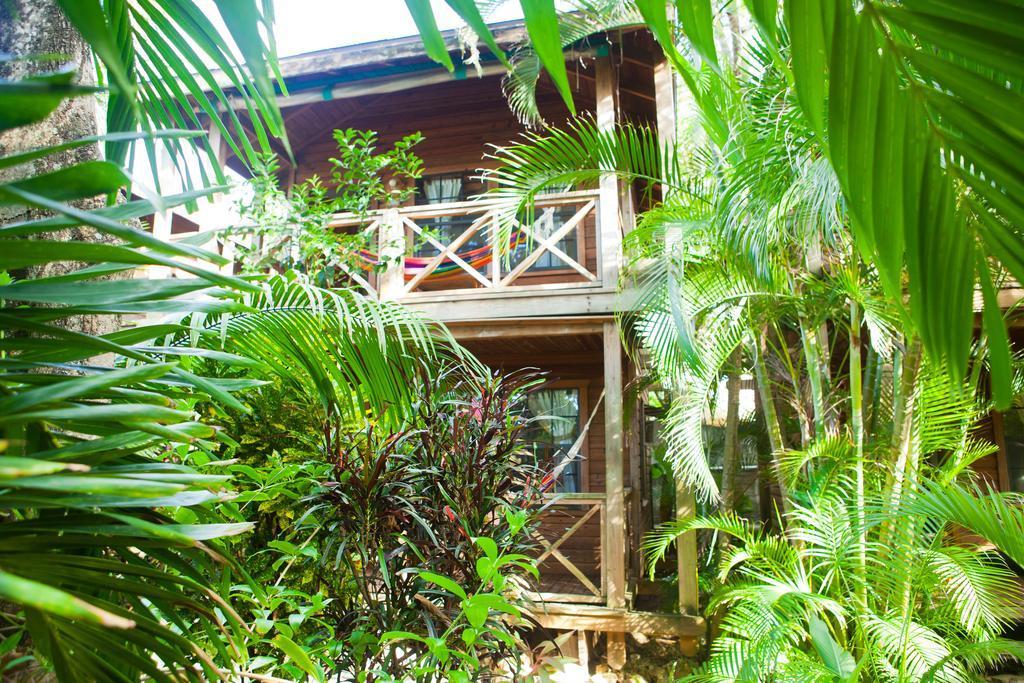Las Rocas Resort & Dive Center