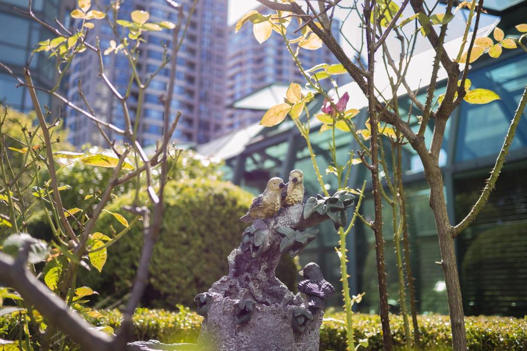 Rosedale on Robson Suite photo 25