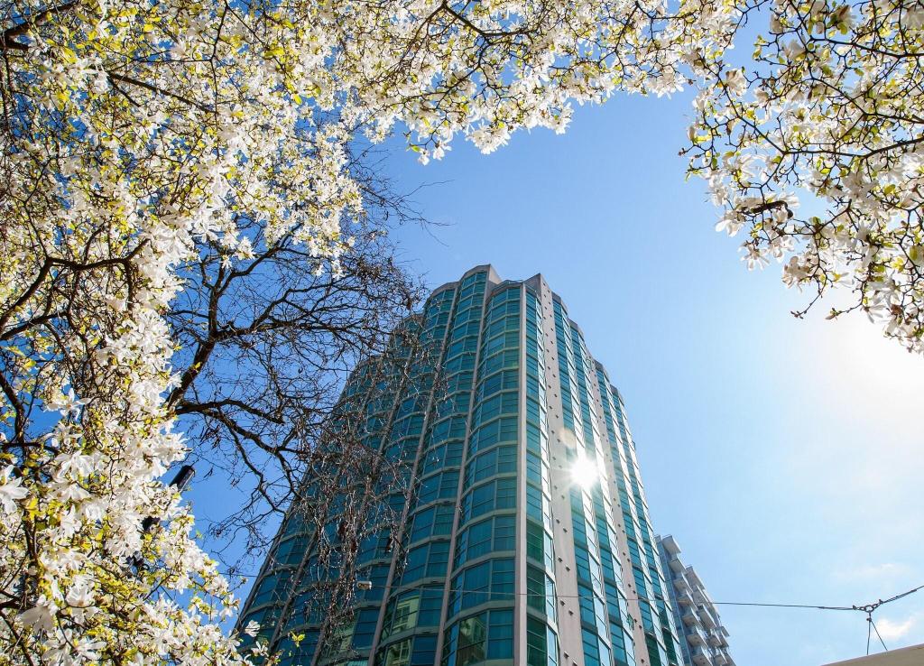 Rosedale on Robson Suite photo 52
