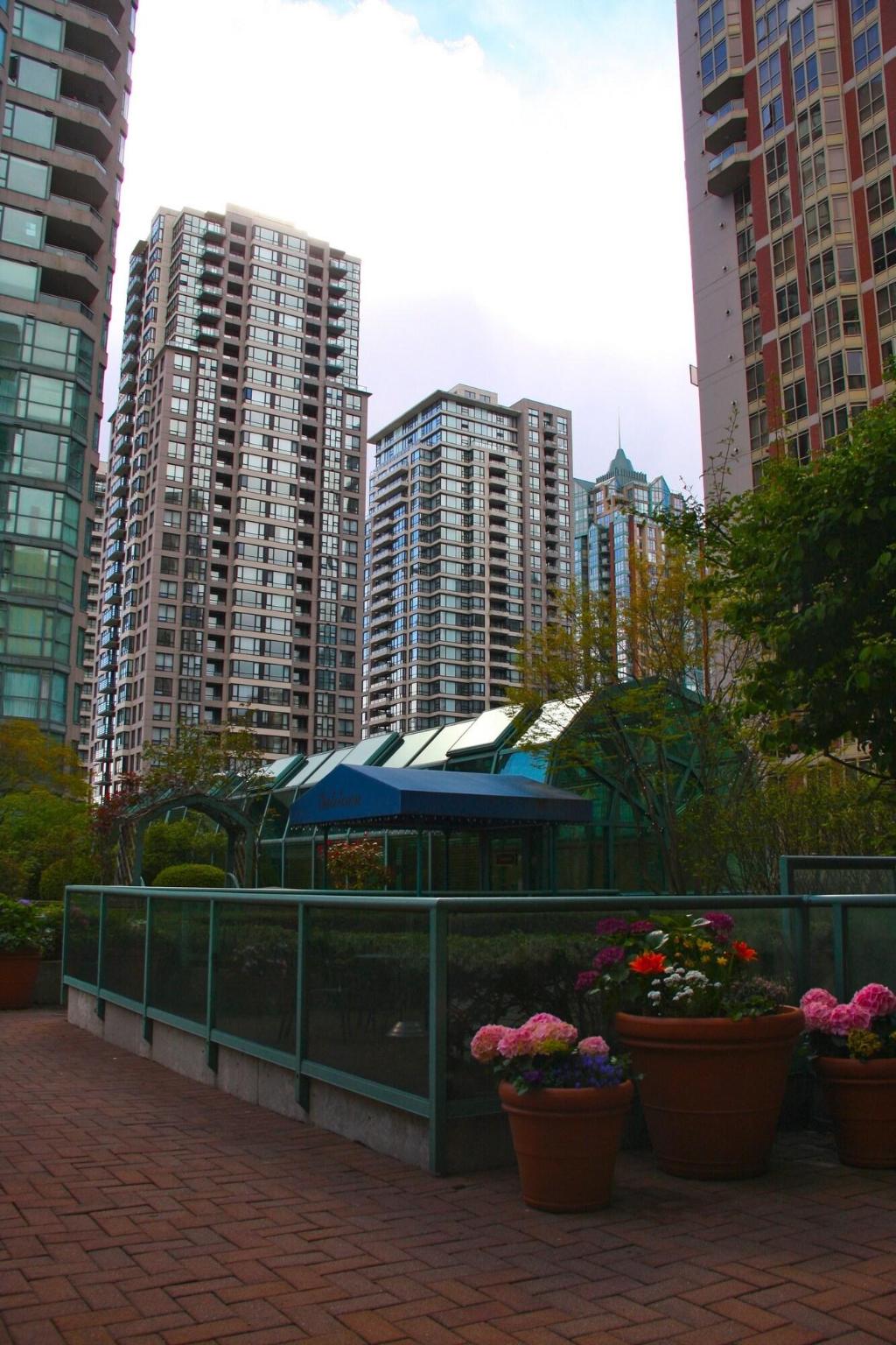 Rosedale on Robson Suite photo 69