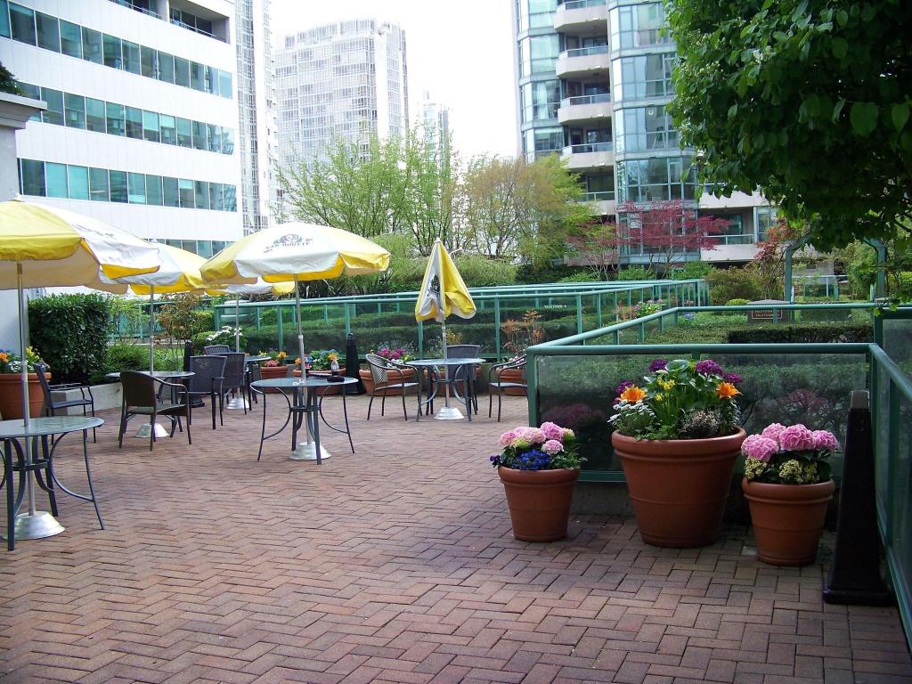 Rosedale on Robson Suite photo 70