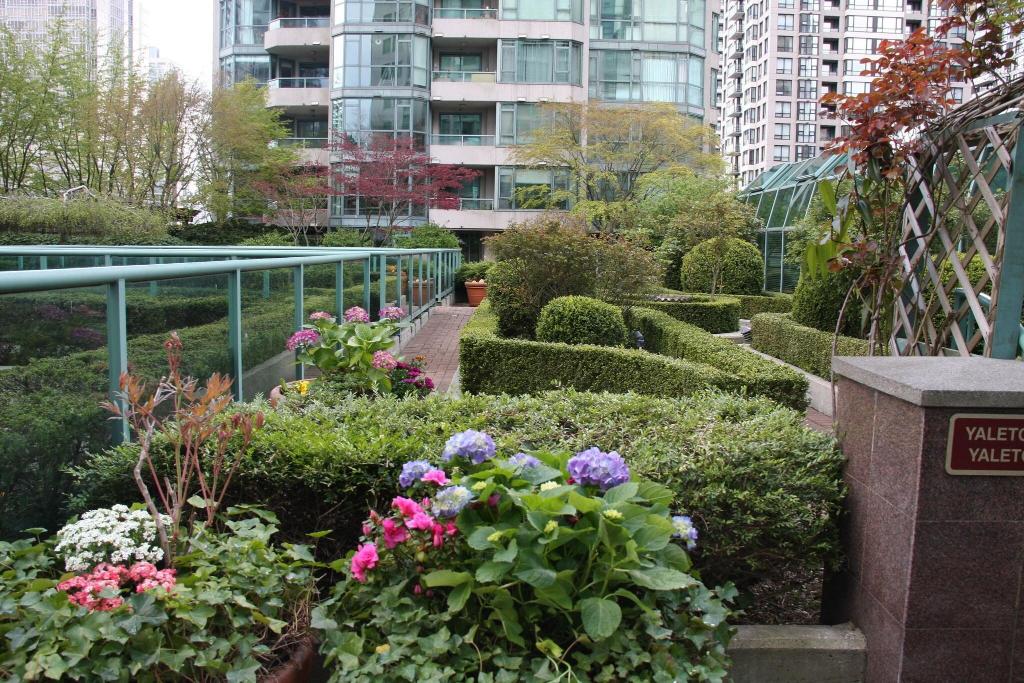 Rosedale on Robson Suite photo 71