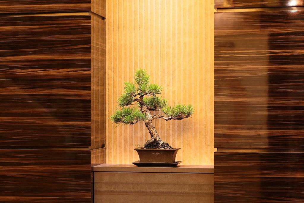 Takamatsu Tokyu REI Hotel - Lobby