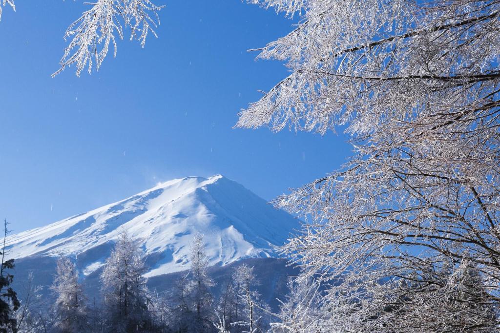 Fuji View Hotel