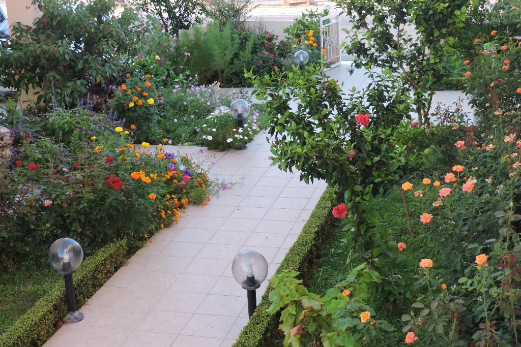 Hotel Golden Rose, Griechenland, Kamisiana. Großes 41