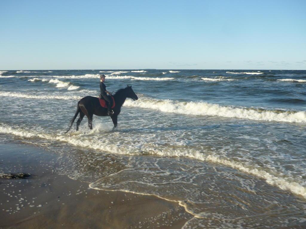 Reit- Und Freizeithotel Friesenhof
