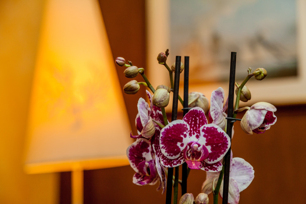 Hotel La Vecchia Fonte Hotel, Italien, Palau. Großes 1