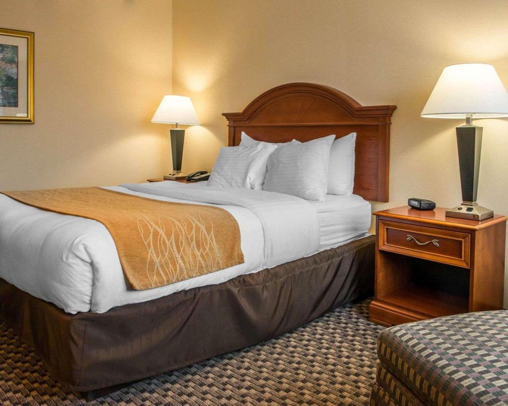 Comfort Inn & Suites Pittsburgh