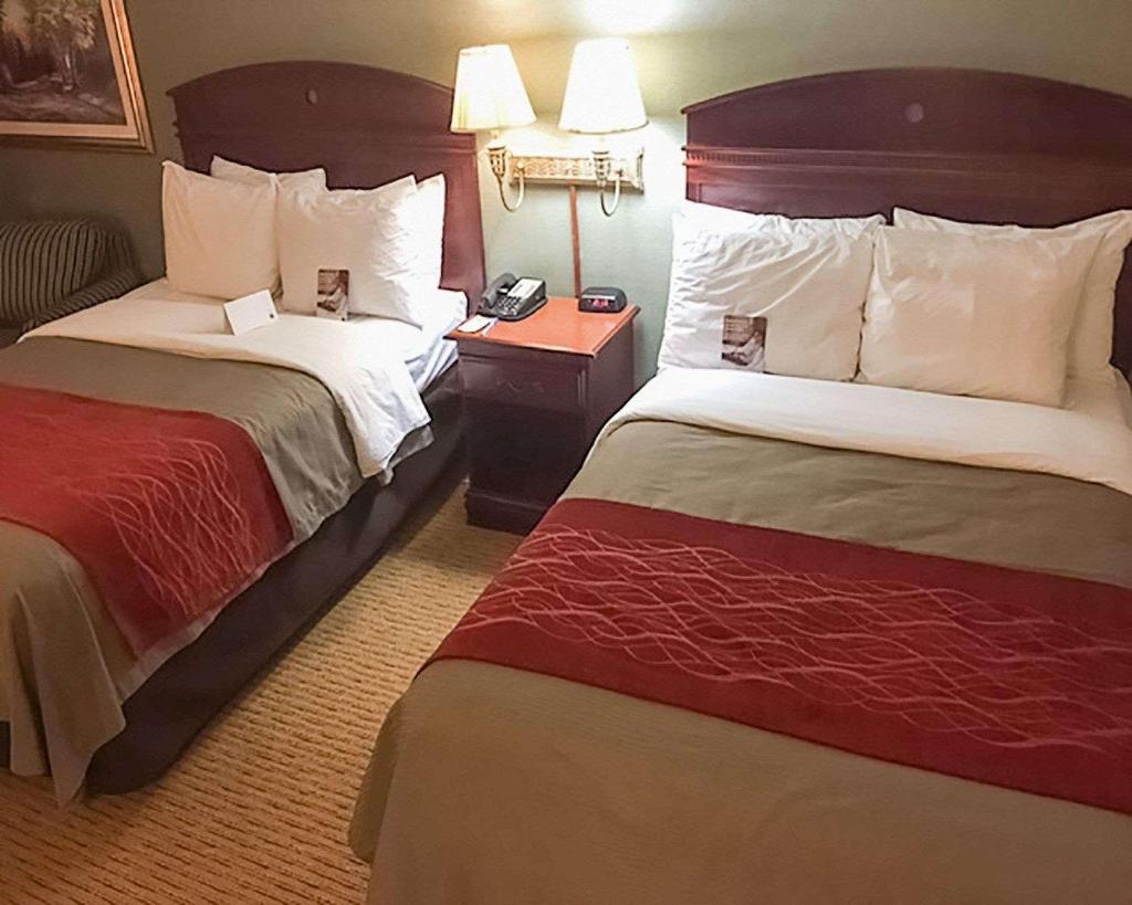 Comfort Inn Alexandria Area