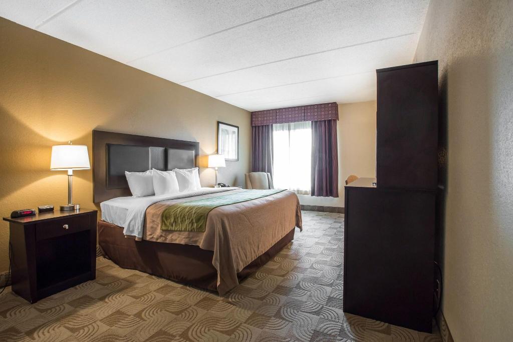 Comfort Inn Warner Robins Area